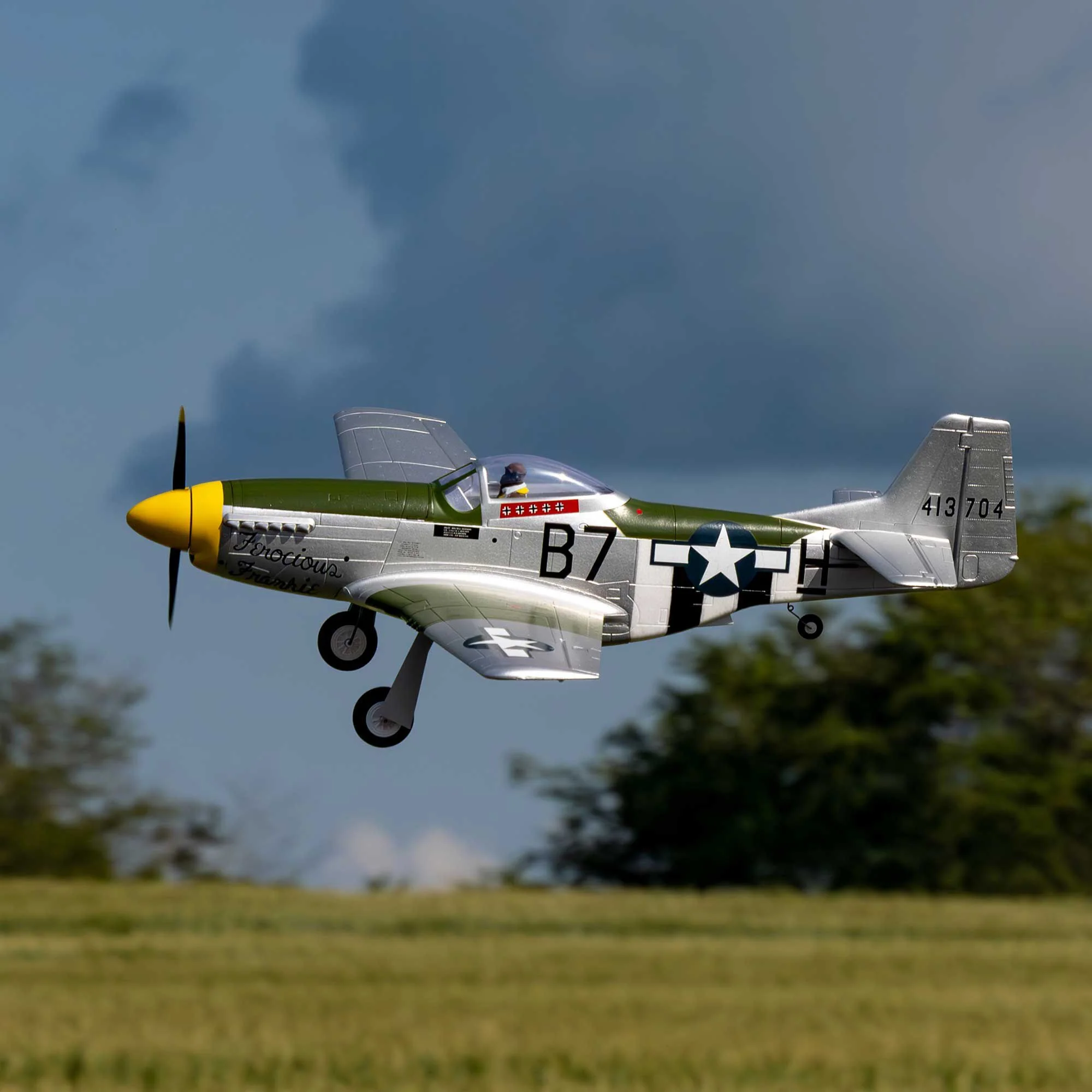 Avion E-Flite P-51D Mustang 1,0 m BNF Basic avec AS3X+ et SAFE EFL02650 - Image 17